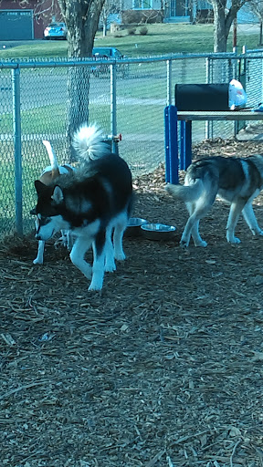 Dog Park «Bassett Creek Dog Park», reviews and photos, 32nd Ave N, Crystal, MN 55422, USA