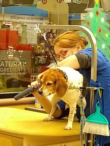 Pet Supply Store «PetSmart», reviews and photos, 1042 Fairplain Dr, Benton Harbor, MI 49022, USA