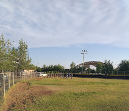 Basaseachi League Baseball Park photo
