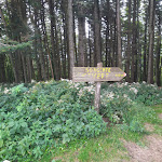 Photo n°7 de l'avis de cristian.o fait le 29/08/2019 à 08:25 sur le  Fumaiolo Paradise Ristorante Pizzeria Hotel à Verghereto