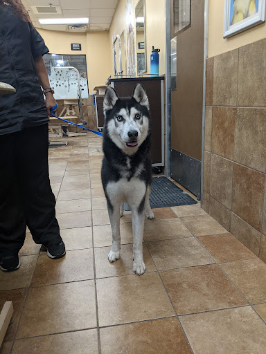 Pet Supply Store «PetSmart», reviews and photos, 11945 Central Ave, Chino, CA 91710, USA