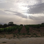 Photo n°1 de l'avis de Valerio. fait le 24/07/2022 à 10:55 sur le  Agriturismo Il Nuovo Merendero à Scansano