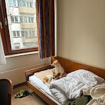 Photo n°3 de l'avis de Evelyn.� fait le 08/03/2024 à 16:00 sur le  Hotel Alte Wache à Hamburg