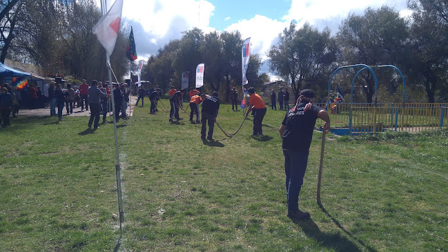 Estadio Fiscal Manuel Moya Medel - Tienda de deporte