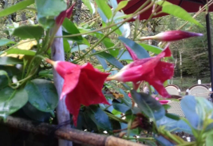 Photo n° 5 de l'avis de Liliana.a fait le 01/10/2017 à 11:11