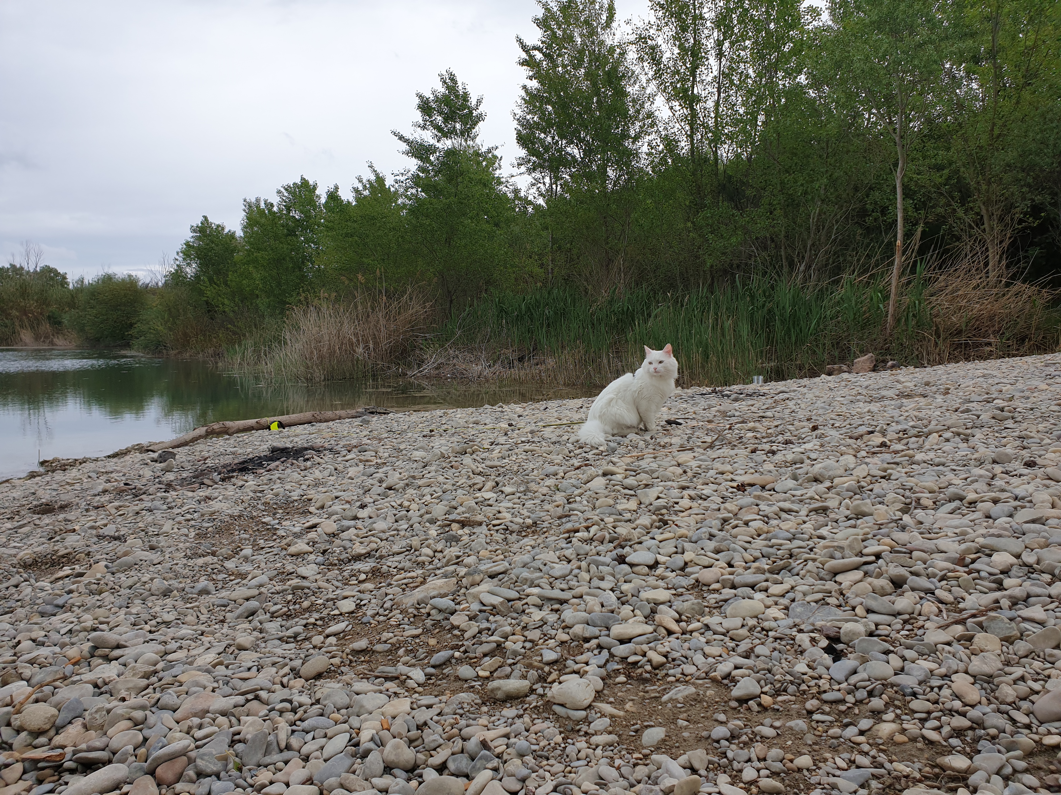 Photo n° 1 de l'avis de Filipa.o fait le 28/05/2019 à 11:15