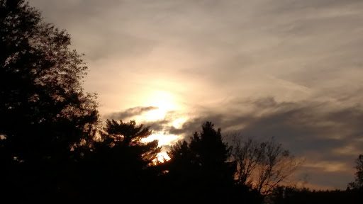 Golf Course «Forest Hills Golf Course», reviews and photos, 41971 Oberlin Elyria Rd, Elyria, OH 44035, USA