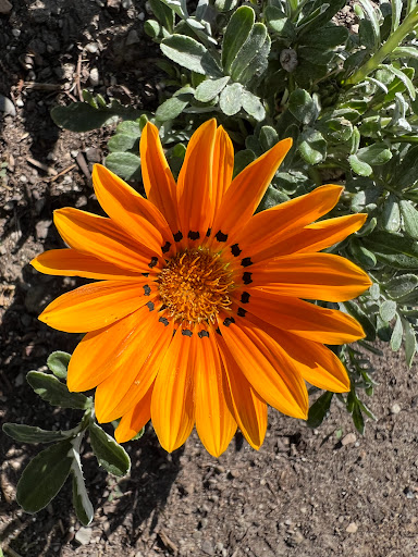Monument «Light of the World Garden at Ashton Gardens», reviews and photos, 3900 Garden Dr, Lehi, UT 84043, USA