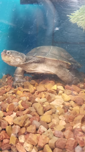 Pet Supply Store «PetSmart», reviews and photos, 585 Main St, Brookfield, WI 53005, USA