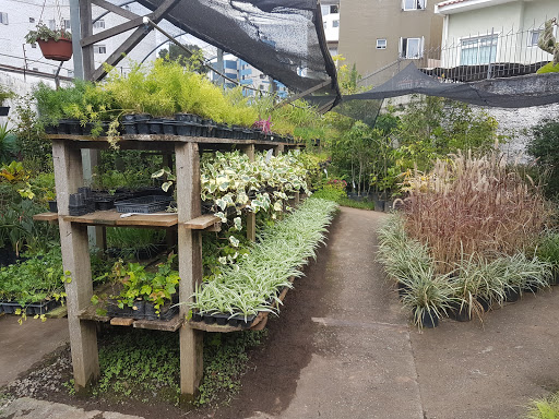 Esquina Verde - Floricultura e Garden Center, Paisagismo e Jardinagem