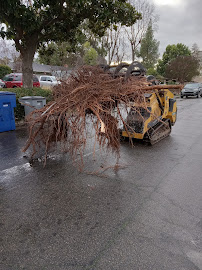 Martinez tree service - Photo 7 - Car repair in , Fresno