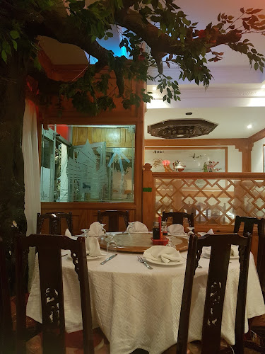 Dragão Dourado - Restaurante