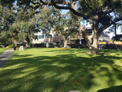 Museum «Henry B. Plant Museum», reviews and photos, 401 W Kennedy Blvd, Tampa, FL 33606, USA