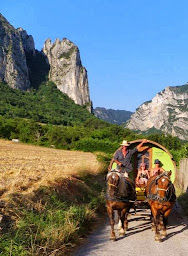 Photo n°9 de Drôme Roulottes Vacances à Le Poët-Célard ()