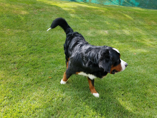 204 Quaker Rd, Pomona, NY 10970, USA