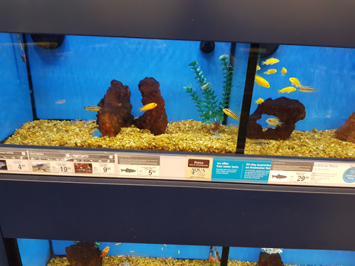 Pet Supply Store «Petco Animal Supplies», reviews and photos, 7400 Rivers Ave z, North Charleston, SC 29406, USA