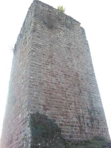 Photo n° 6 de l'avis de Grégoire.u fait le 06/03/2020 à 10:40