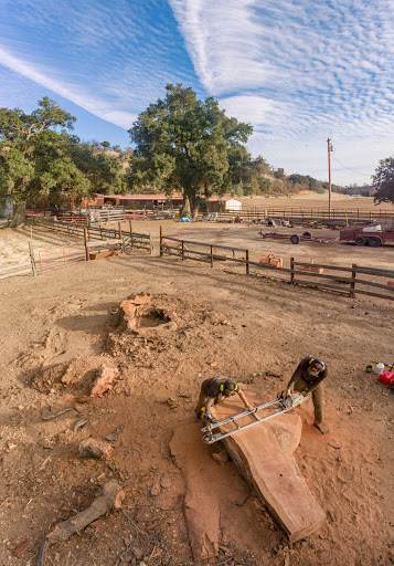 Deadwood Revival Design image