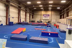 Meks Gymnastic Academy image