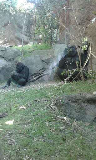 Park «Bronx zoo Park lot», reviews and photos, 2152 Crotona Pkwy, Bronx, NY 10460, USA