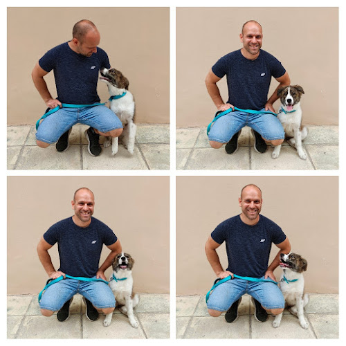 Εκπαίδευση Σκύλων Κυνομάθησις - Εκπαιδευτής σκύλου