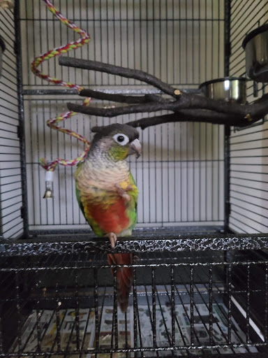 Pet Store «Pet World Warehouse Outlet», reviews and photos, 2984 S 108th St, Milwaukee, WI 53227, USA