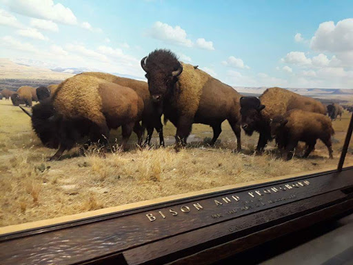 Wax Museum «Madame Tussauds New York», reviews and photos, 234 W 42nd St, New York, NY 10036, USA