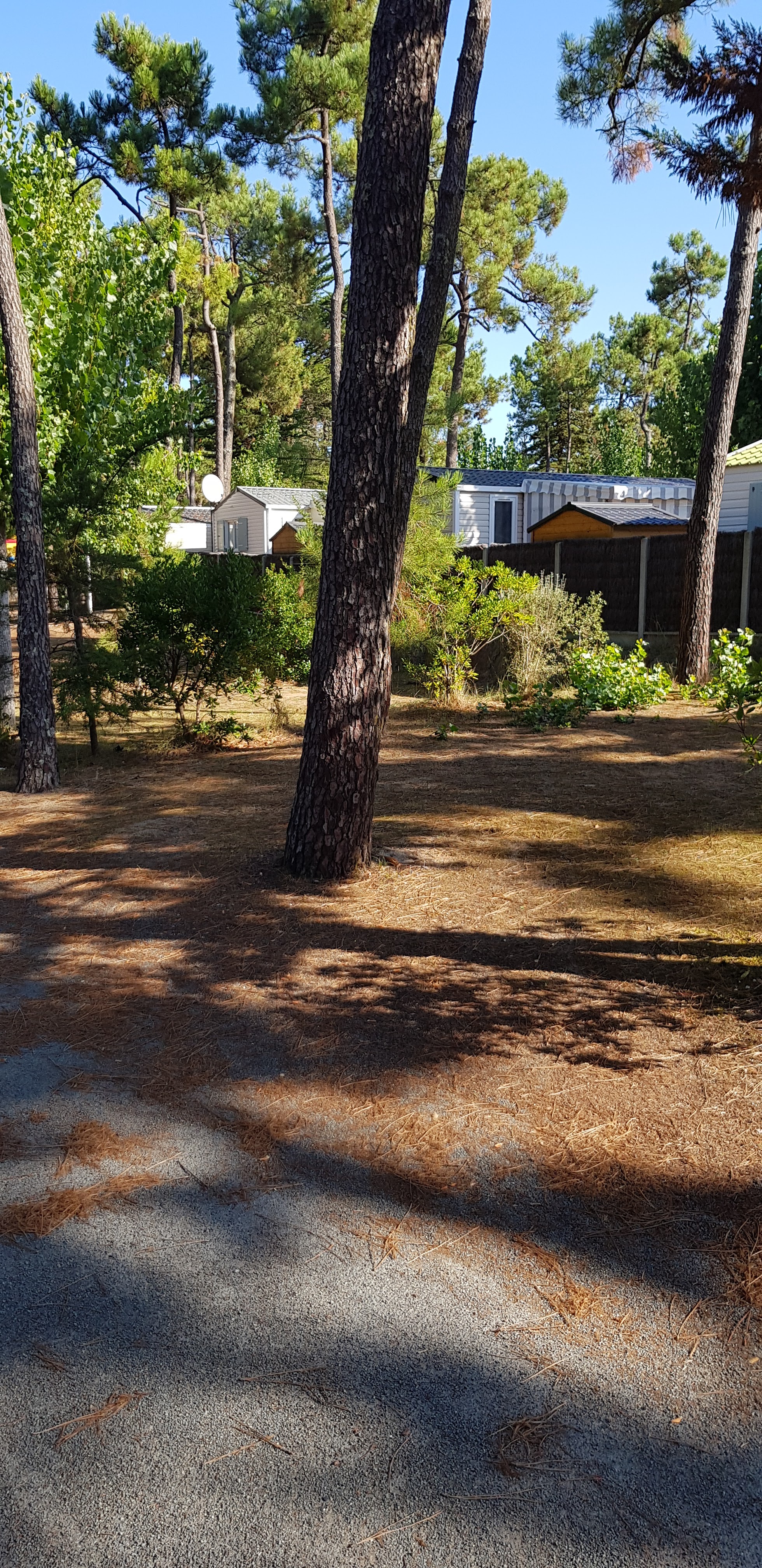 Photo n° 12 de l'avis de DIDIER.O fait le 01/09/2018 à 11:31