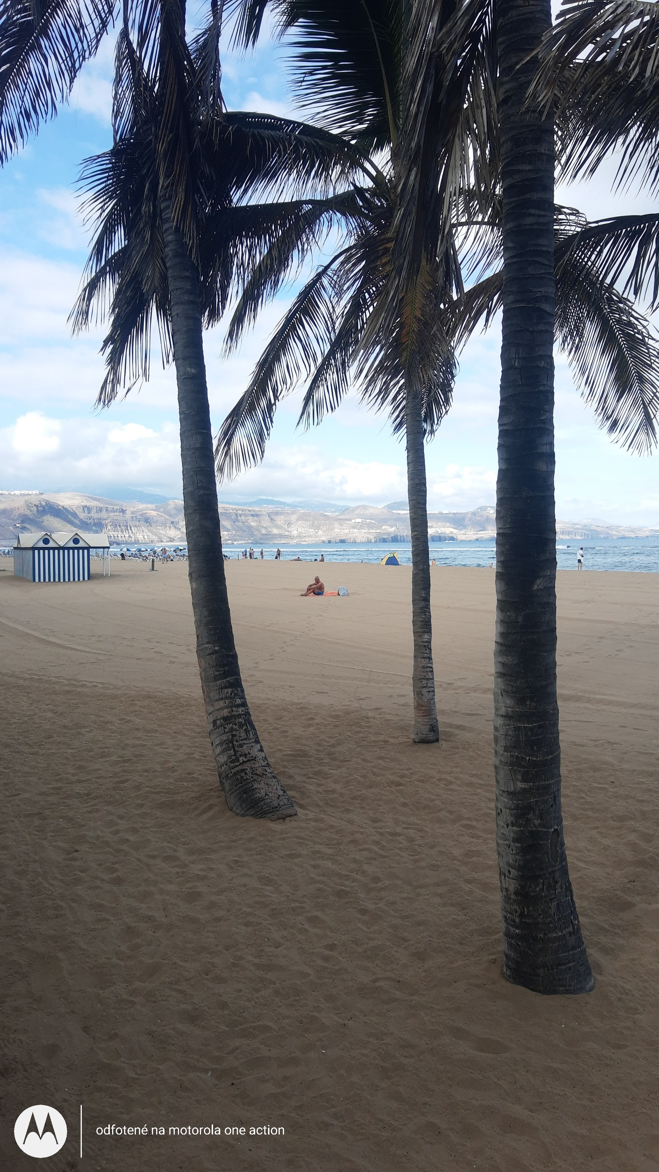 El Perenquén Las Canteras (Artesanía Canaria y souvenir) - 13