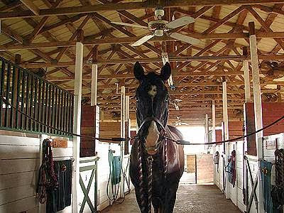 Darly Oaks Equestrian Center