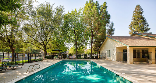 The Meadows Apartments