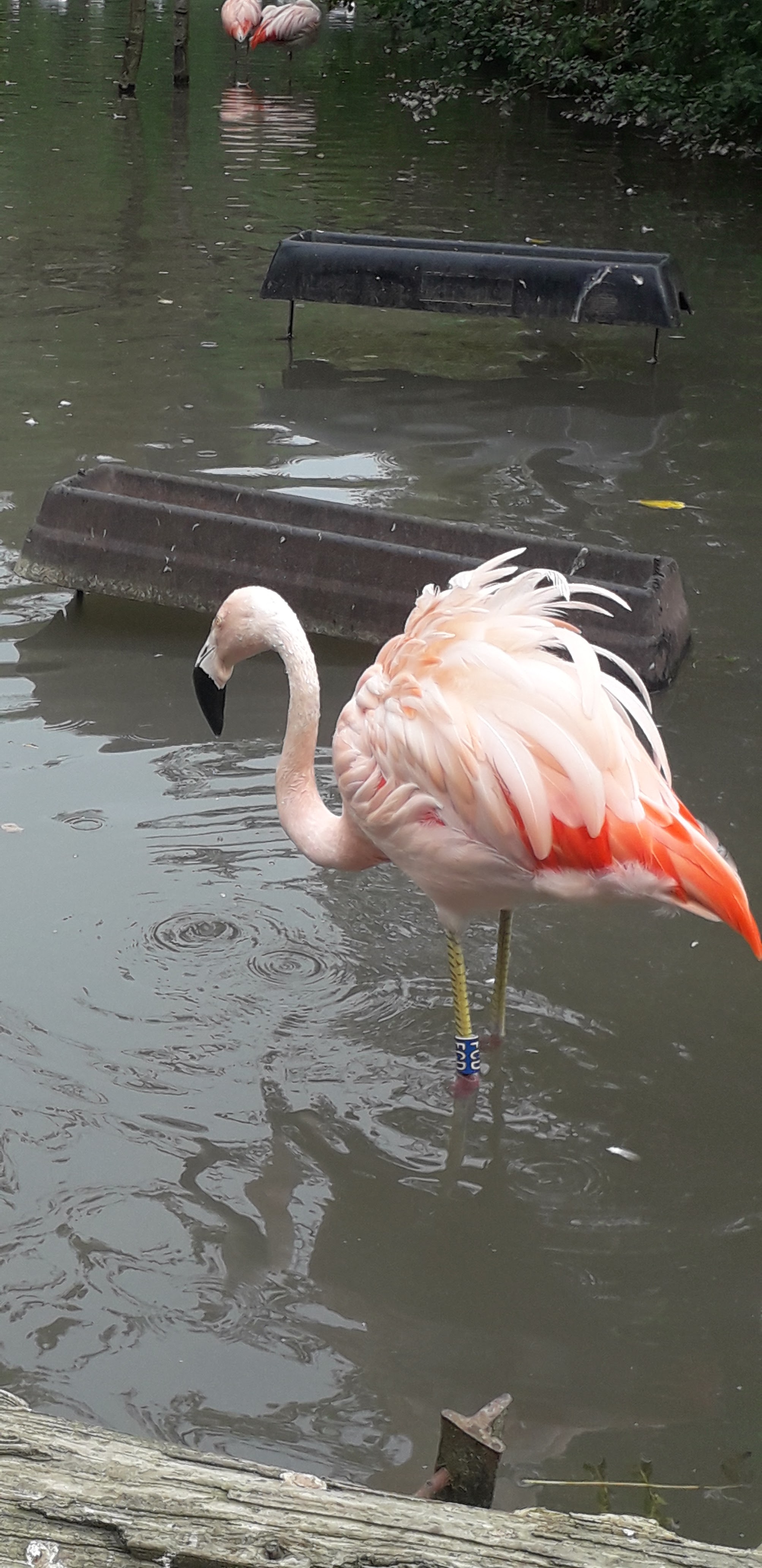 Photo n° 11 de l'avis de lilou.i fait le 19/09/2020 à 16:48