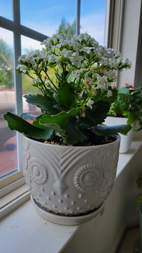 Discount Store «Big Lots», reviews and photos, 19142 Montgomery Village Ave, Gaithersburg, MD 20886, USA