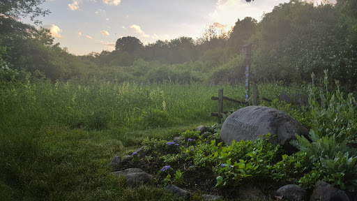 Nature Preserve «The Celery Farm», reviews and photos, Franklin Turnpike, Allendale, NJ 07401, USA