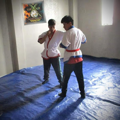 Kung Fu Wushu Escuela de Cultura y Artes Marciales Chinas 'GUAN YU'