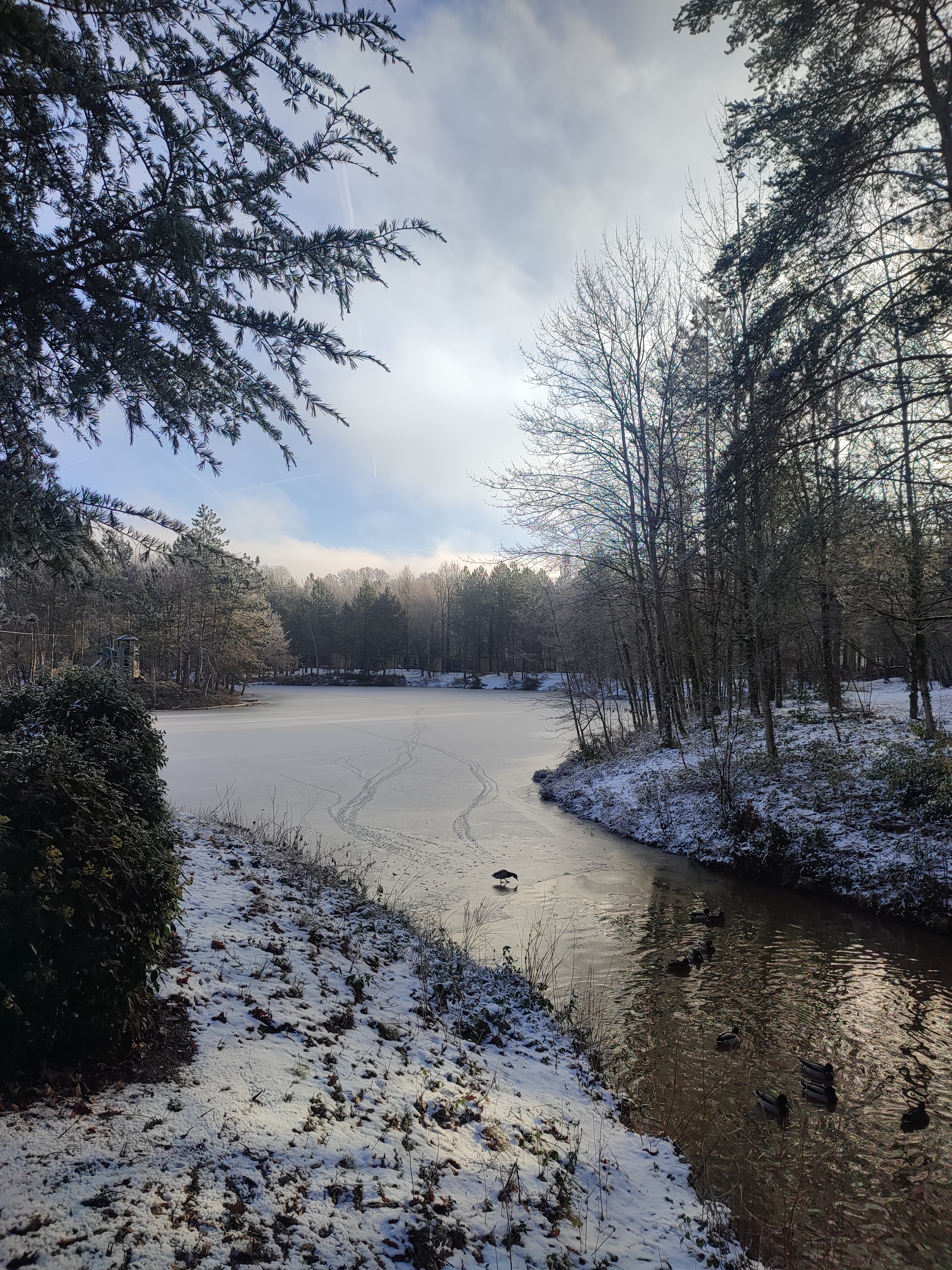 Photo n° 3 de l'avis de Manon.a fait le 21/01/2024 à 18:42