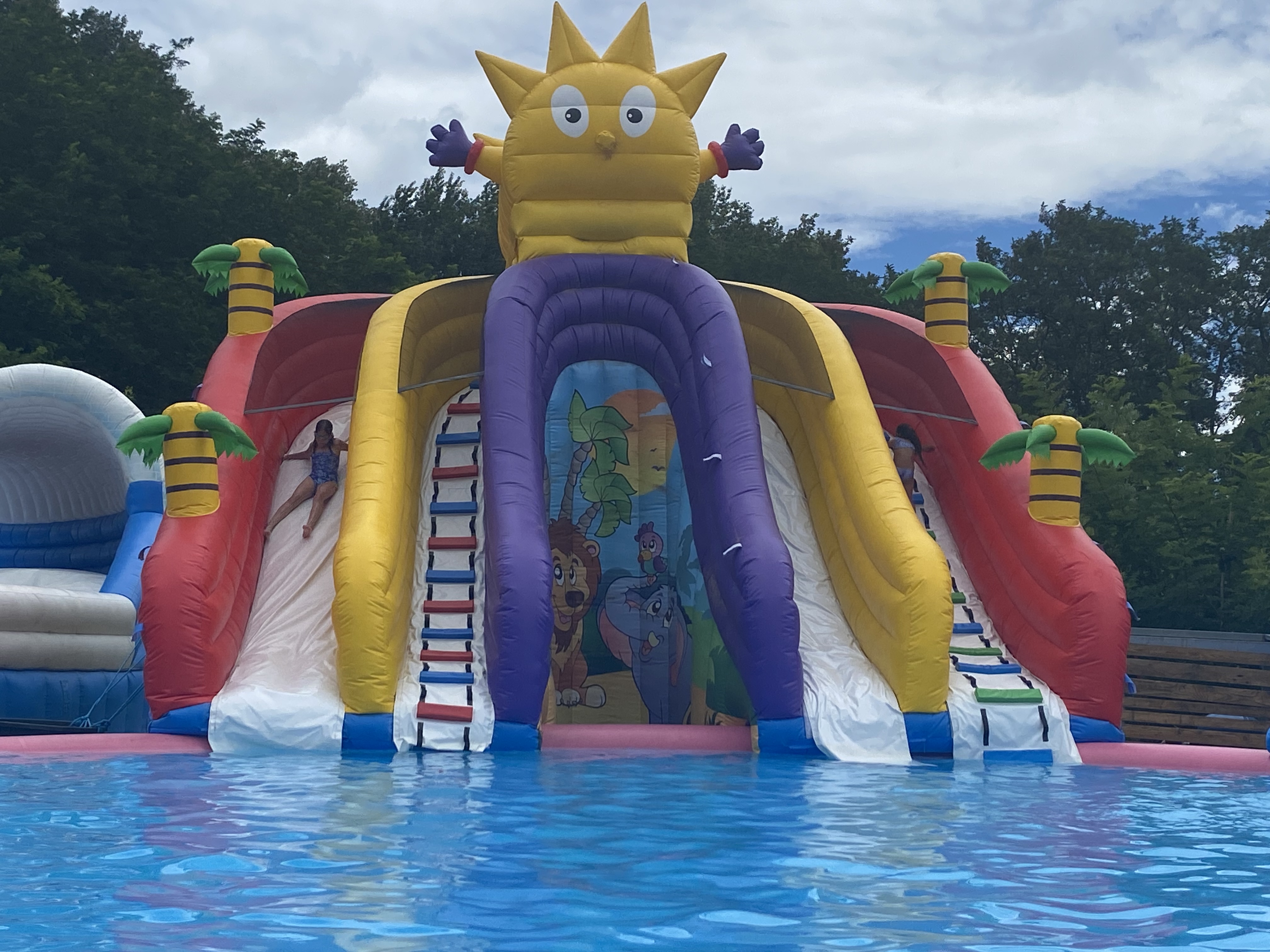 Photo n° 1 de l'avis de Annick.o fait le 19/07/2023 à 08:03