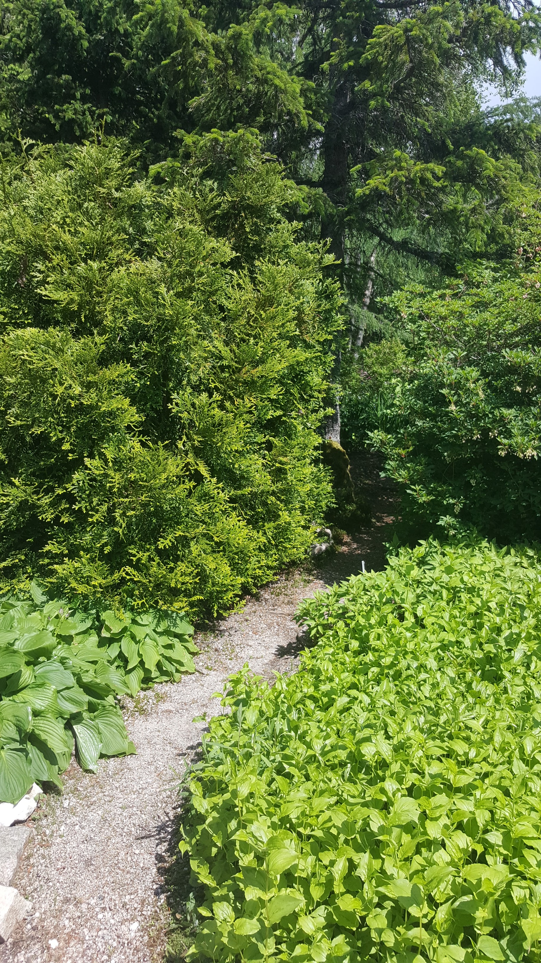 Photo n° 33 de l'avis de Jean-Sébastien.O fait le 23/06/2019 à 16:49