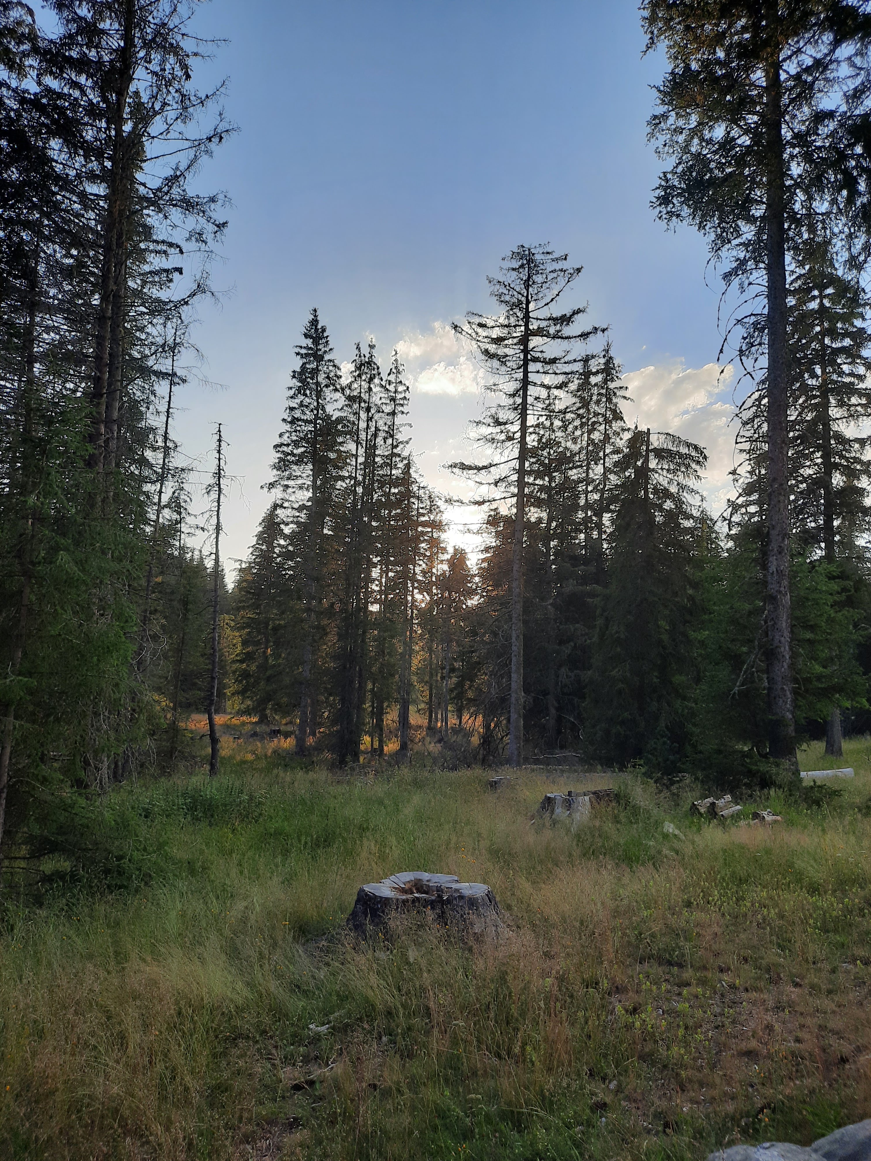 Photo n° 2 de l'avis de jean-francois.l fait le 31/07/2020 à 19:02