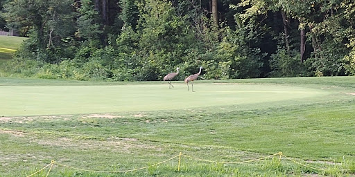 Golf Course «Elbel Golf Course», reviews and photos, 26595 Auten Rd, South Bend, IN 46628, USA