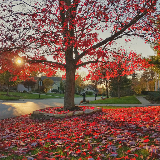 Golf Club «York Golf Club», reviews and photos, 7459 N High St, Columbus, OH 43235, USA