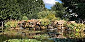 Rory Meyers Children's Adventure Garden at the Dallas Arboretum