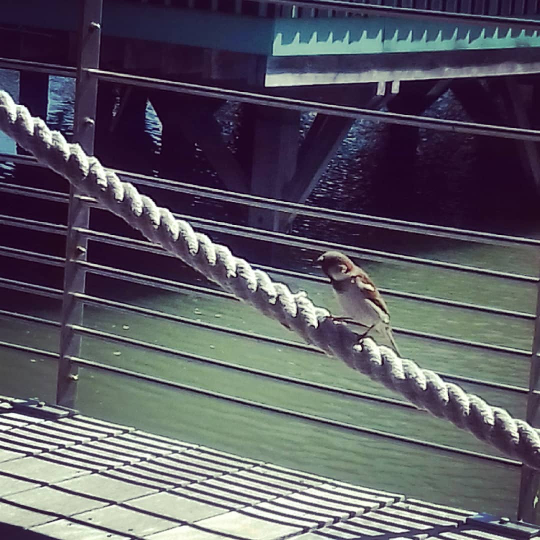 Photo n° 1 de l'avis de géraldine.E fait le 20/04/2018 à 12:44