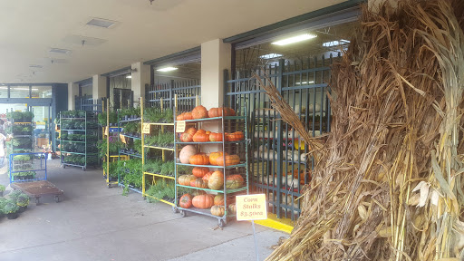 Produce Market «Produce Junction Inc», reviews and photos, 265 S Easton Rd, Glenside, PA 19038, USA
