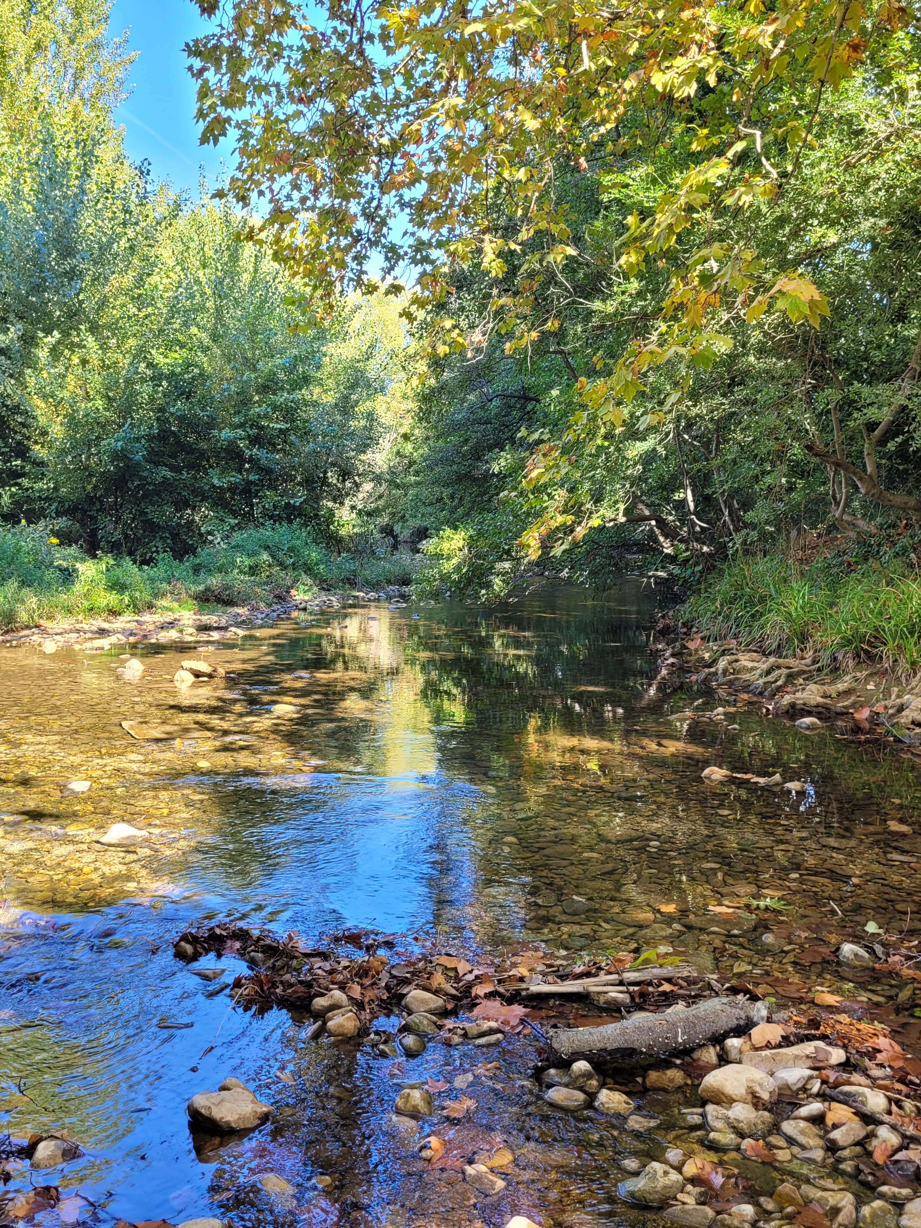 Photo n° 1 de l'avis de Aurelie.A fait le 06/10/2022 à 15:55