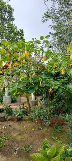 Top 20 cửa hàng mỹ Huyện Sơn Hòa Phú Yên 2022