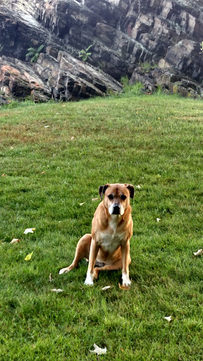 Park «Bell Rock Memorial Park», reviews and photos, Main St & Wigglesworth Street, Malden, MA 02148, USA