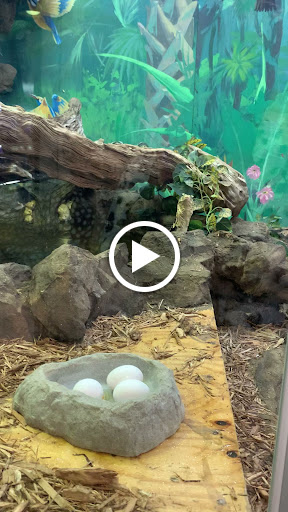 Pet Store «Incredible Pets Inc», reviews and photos, 2255 N Wickham Rd # 102, Melbourne, FL 32935, USA