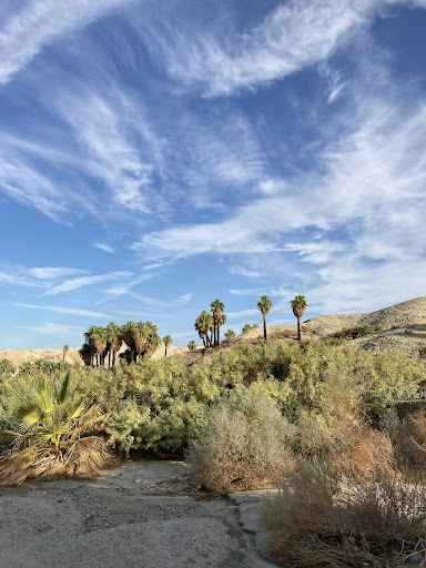 Tourist Attraction «Desert Adventures», reviews and photos, 74794 Lennon Pl, Palm Desert, CA 92260, USA