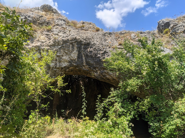 Пещерата с дървото - Ботуня Работно време